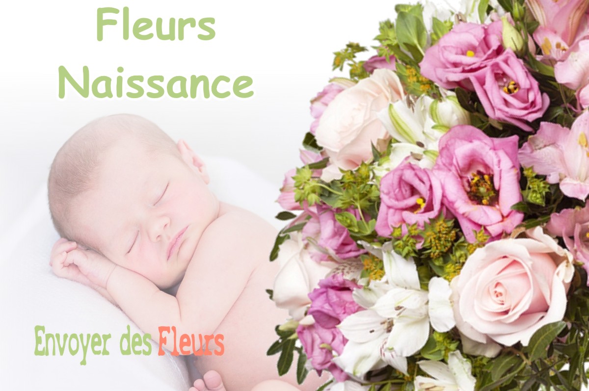 lIVRAISON FLEURS NAISSANCE à GIGNAC-LA-NERTHE